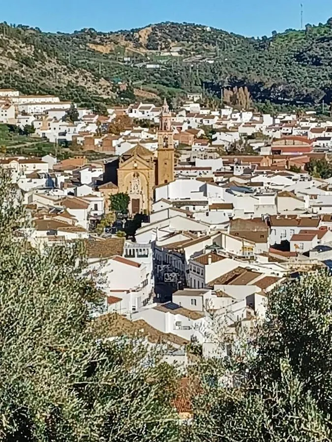 Holiday home Casa Diego. Algodonales