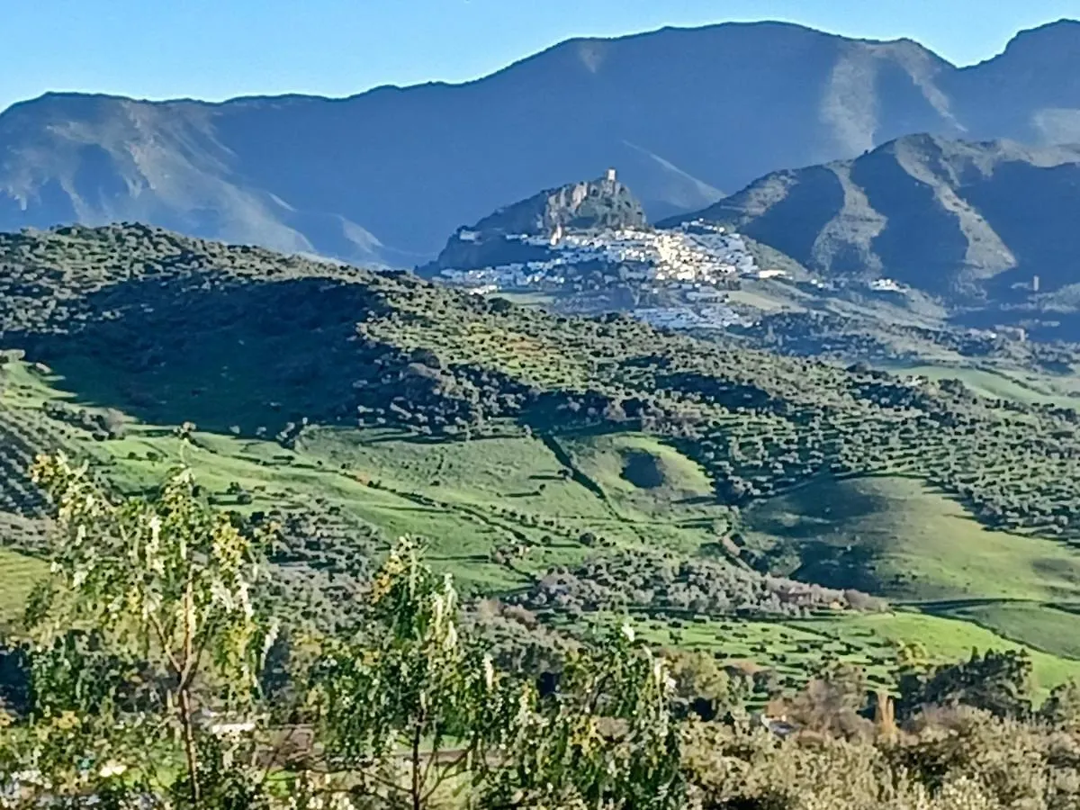 Holiday home Casa Diego. Algodonales